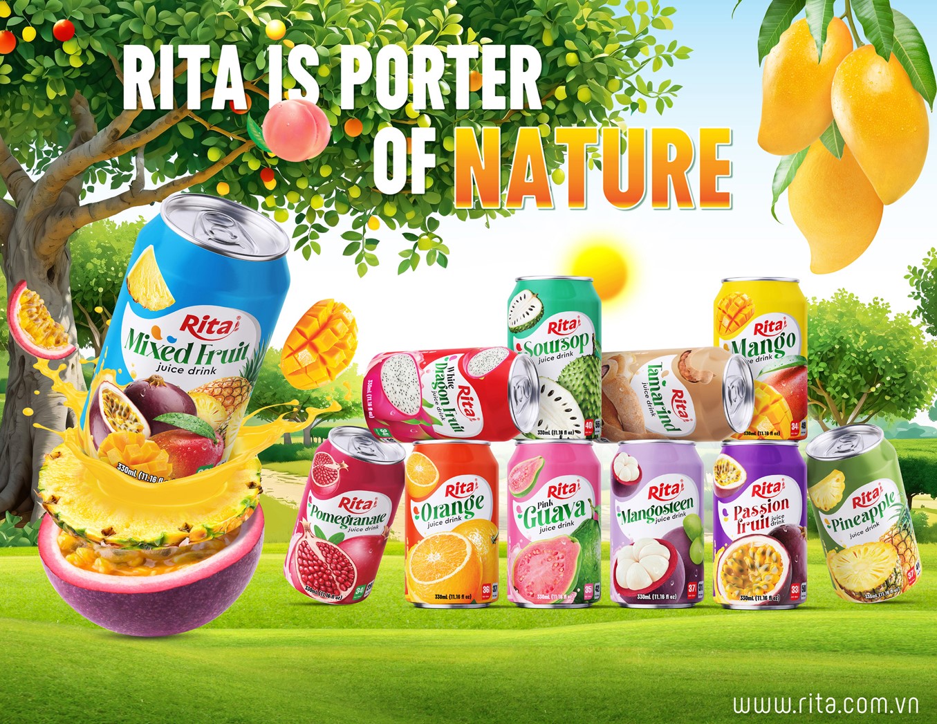 11 flavours Vietnam tropical fruit juice