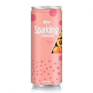 Sparkling Carbonated 250ml can 02